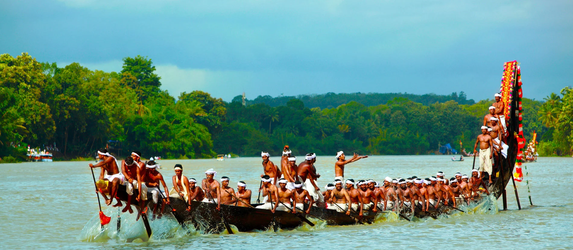 Terms and Conditions