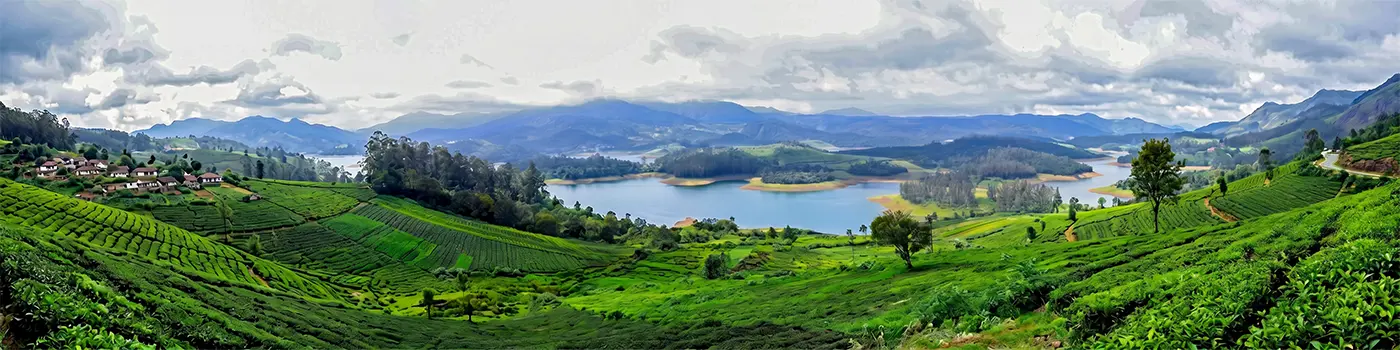 Munnar Tour Packages