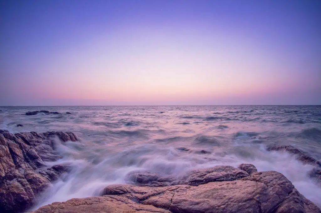 /images/no-img.webp