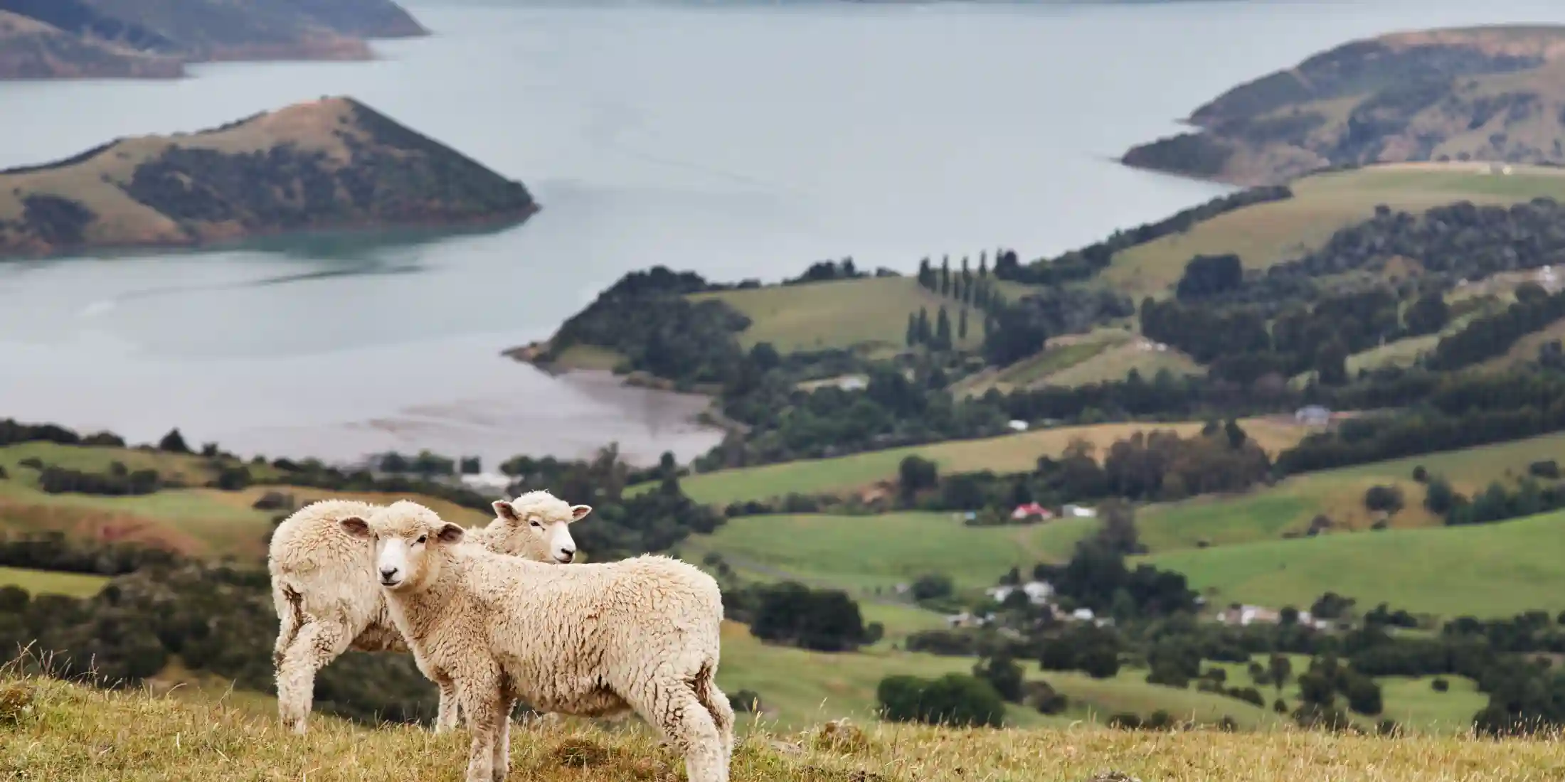 Greece Highlights Tour