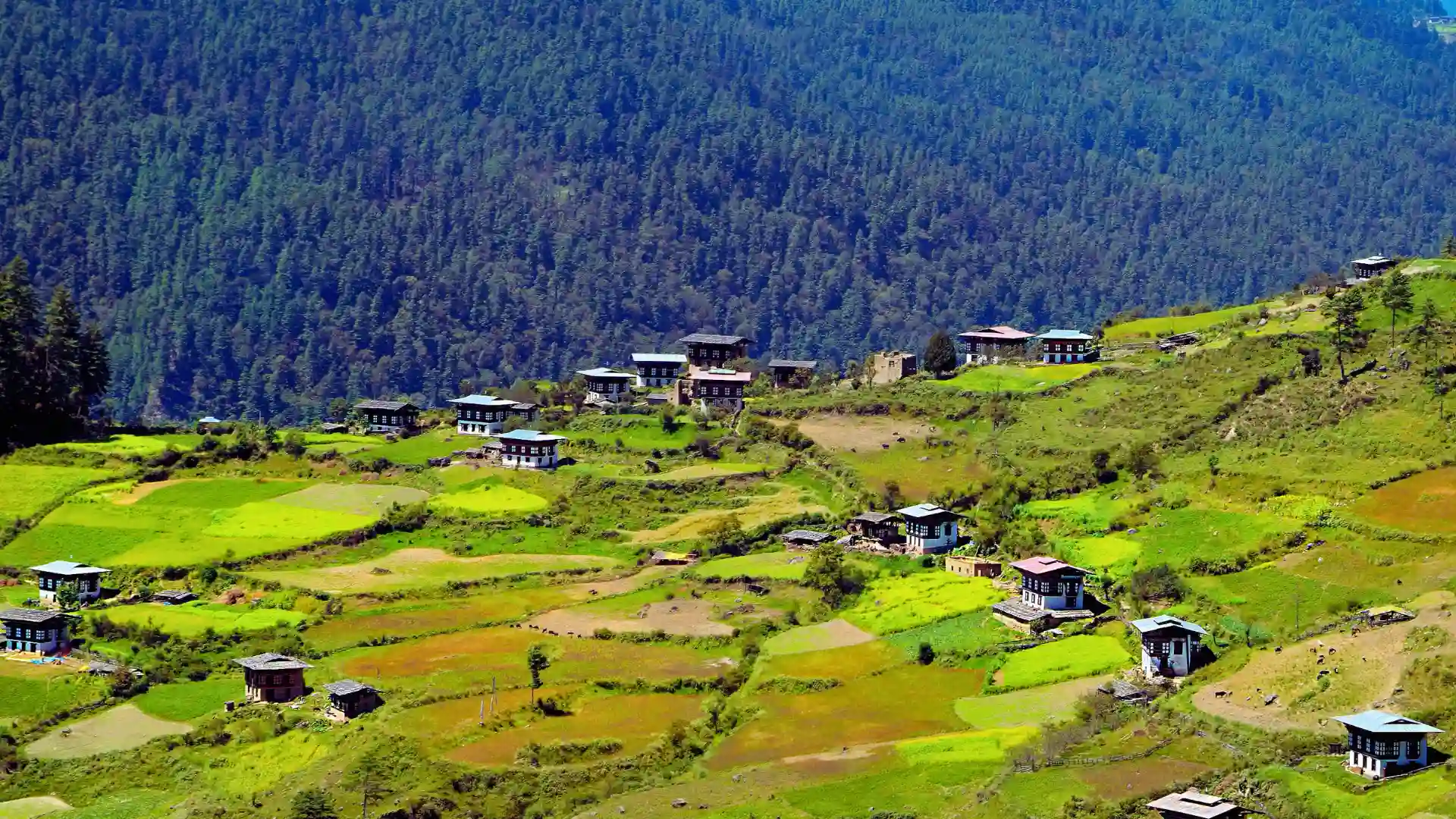 Chorten Memorial
