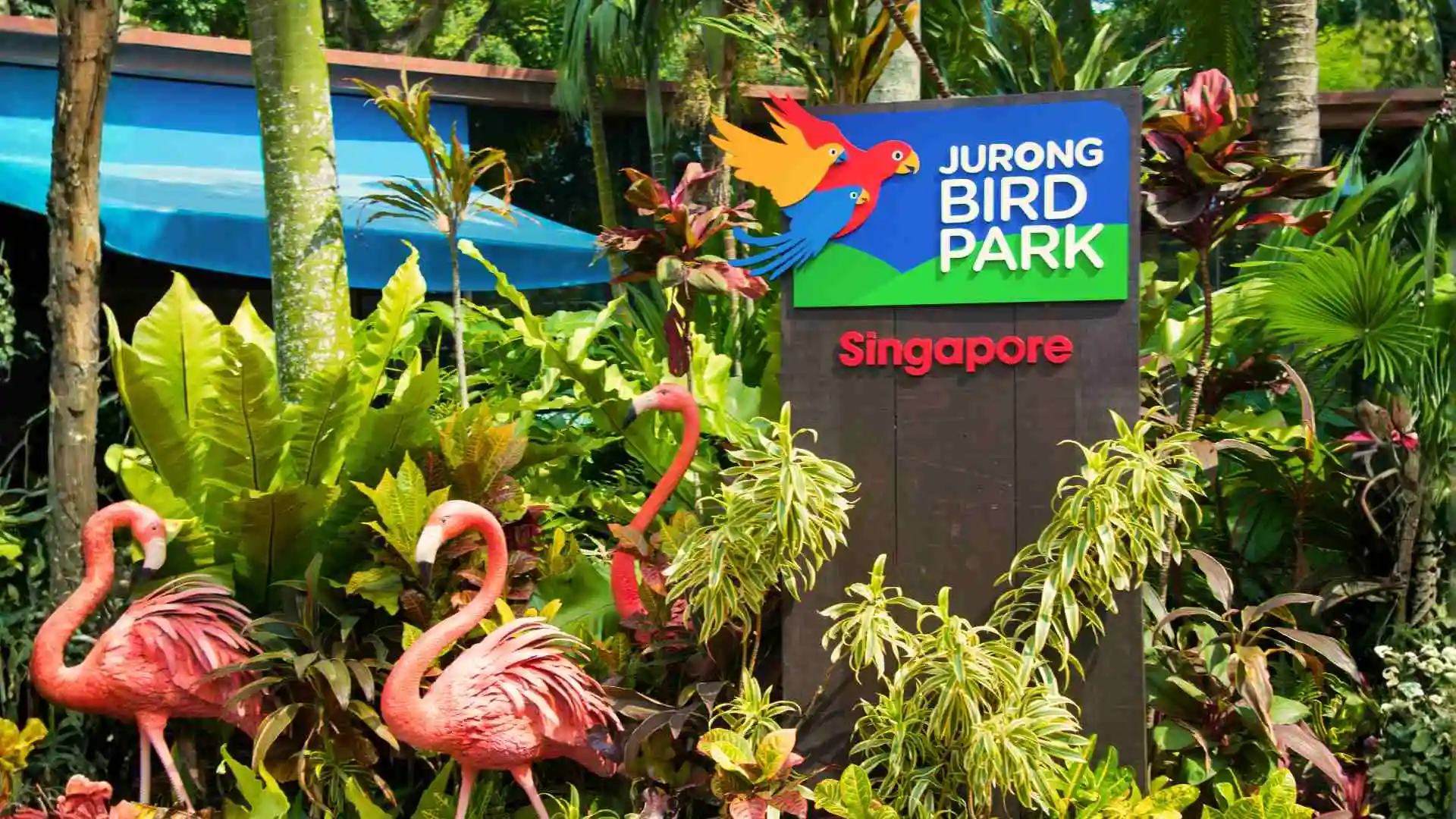 Jurong Bird Park Singapore