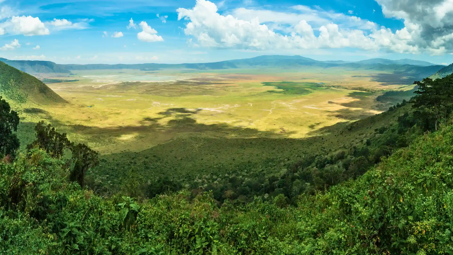 Ngorongoro Conservation Area