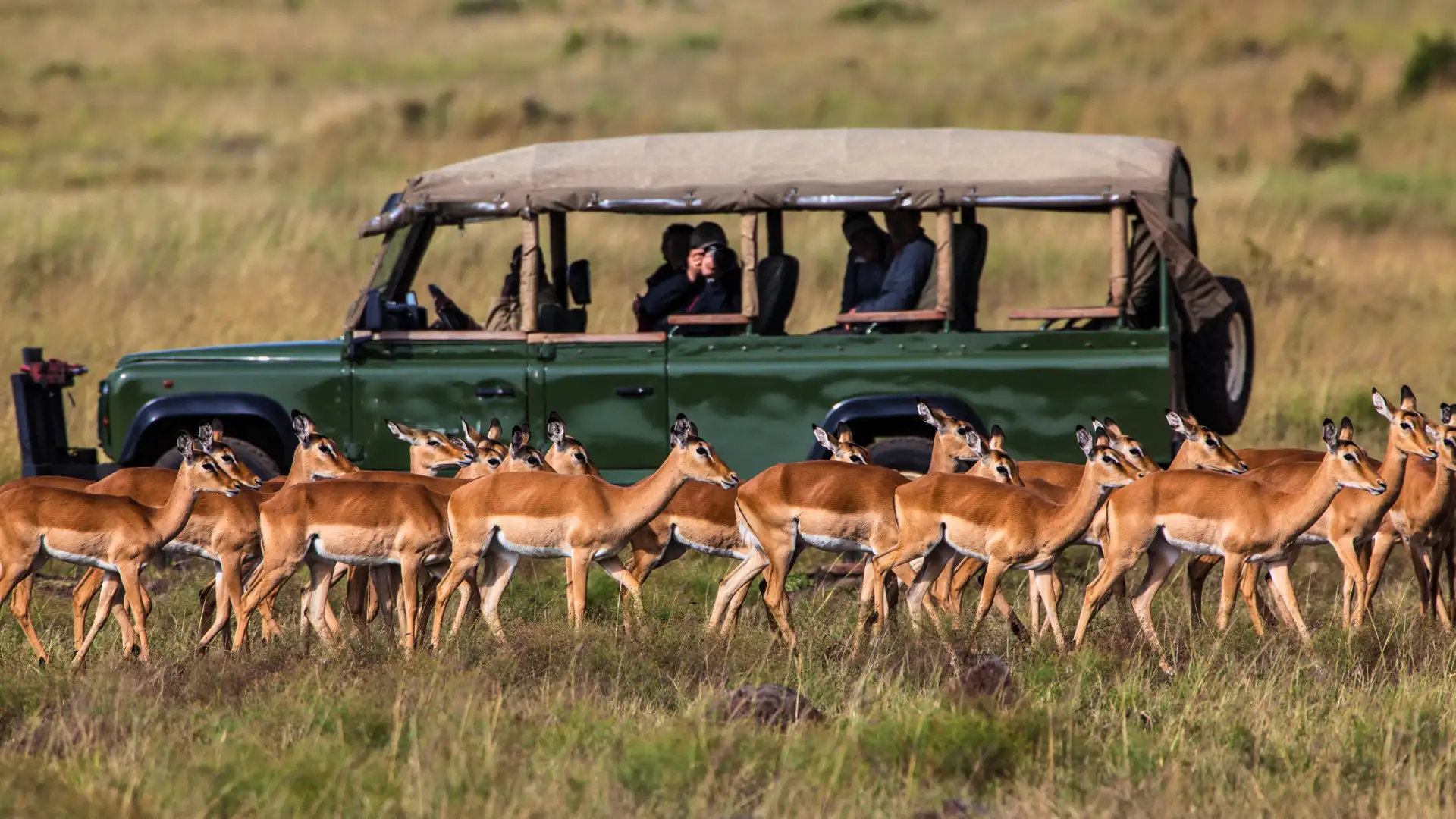 Best Kenya and Tanzania Safari Tour with Tree Lodge & Ngorongoro Crater