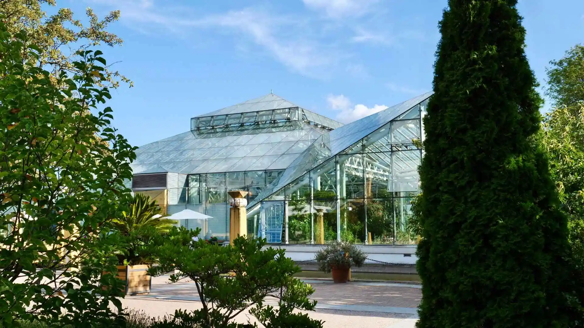 Explore Coorg and Ooty Tour