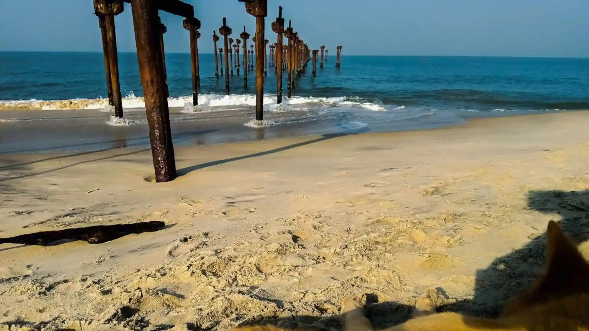 Alleppey Beach kerala