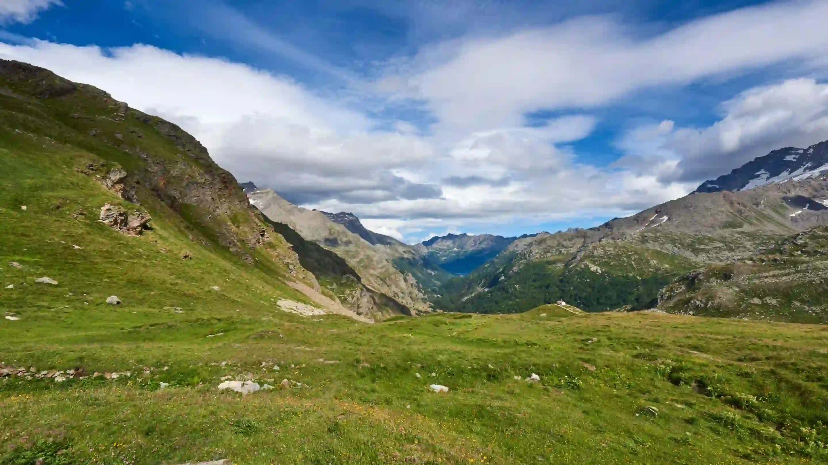 Magical Meadows of Kashmir