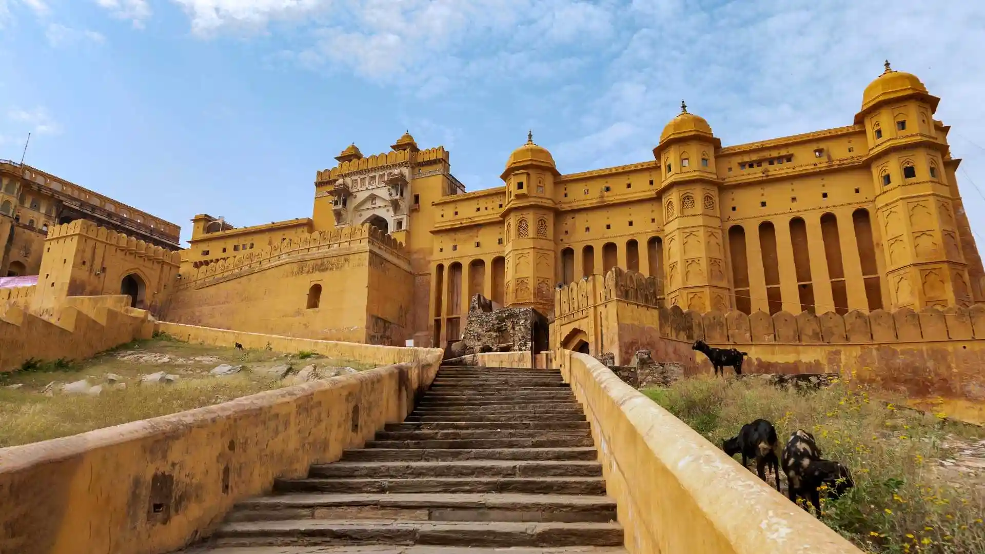 Mount Abu and Desert Safari