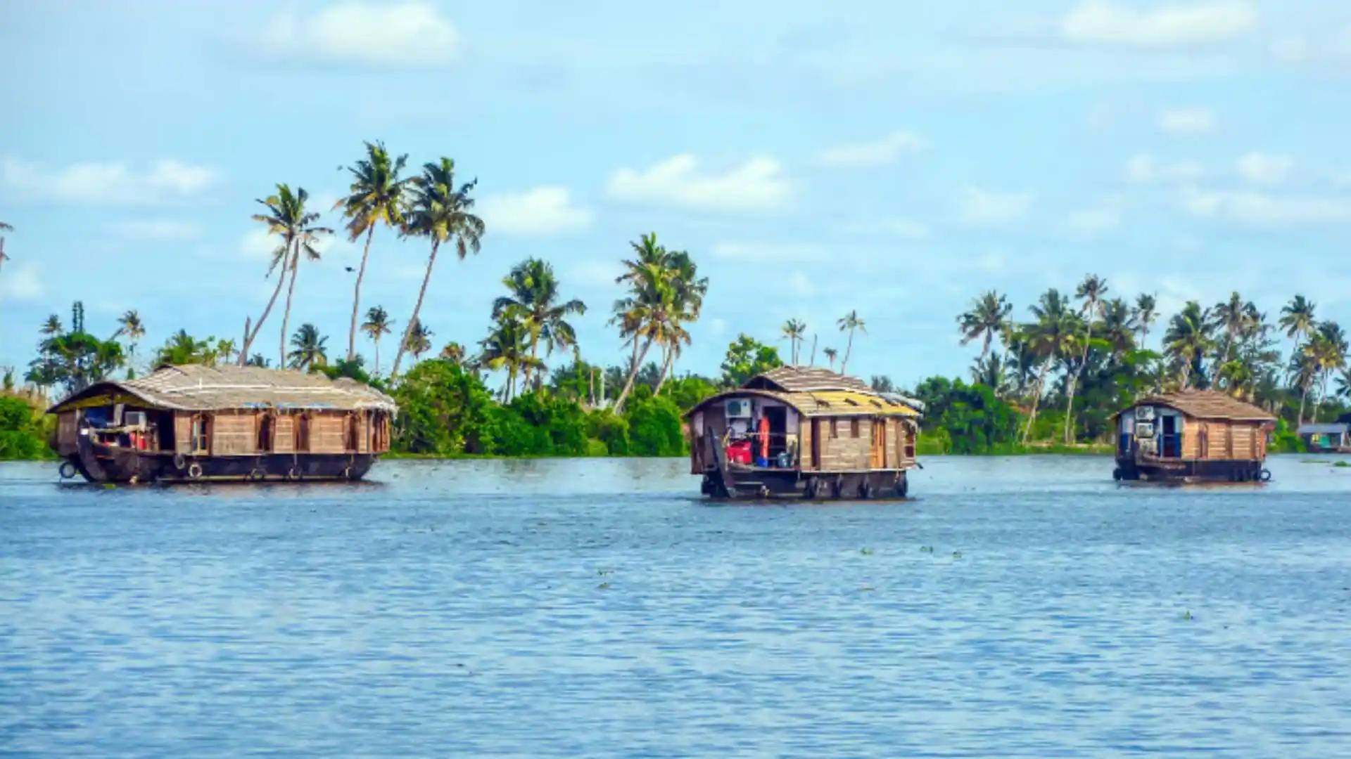 Bay Island Driftwood Museum