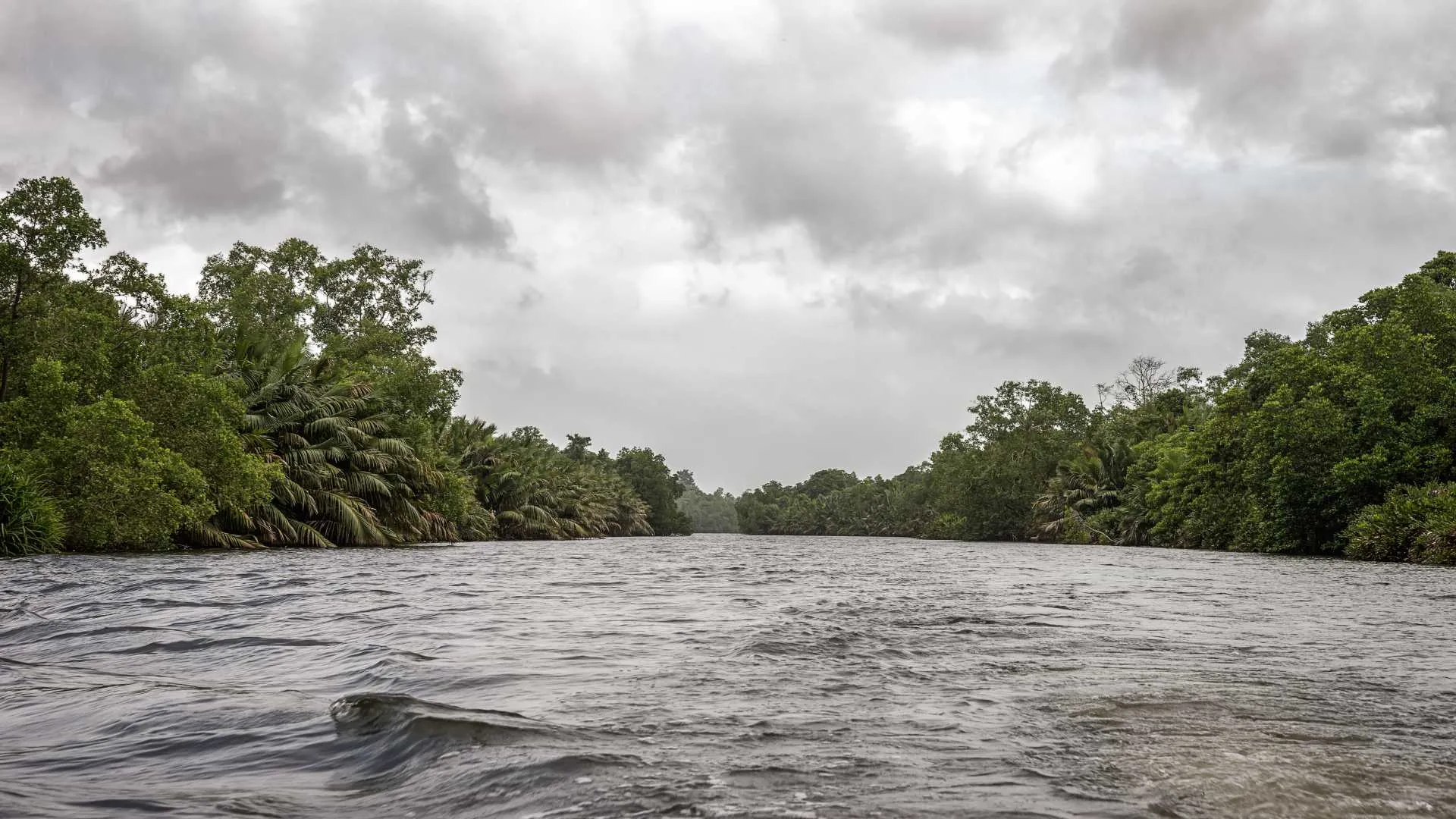 Bentota Madu River Safari Sri Lanka