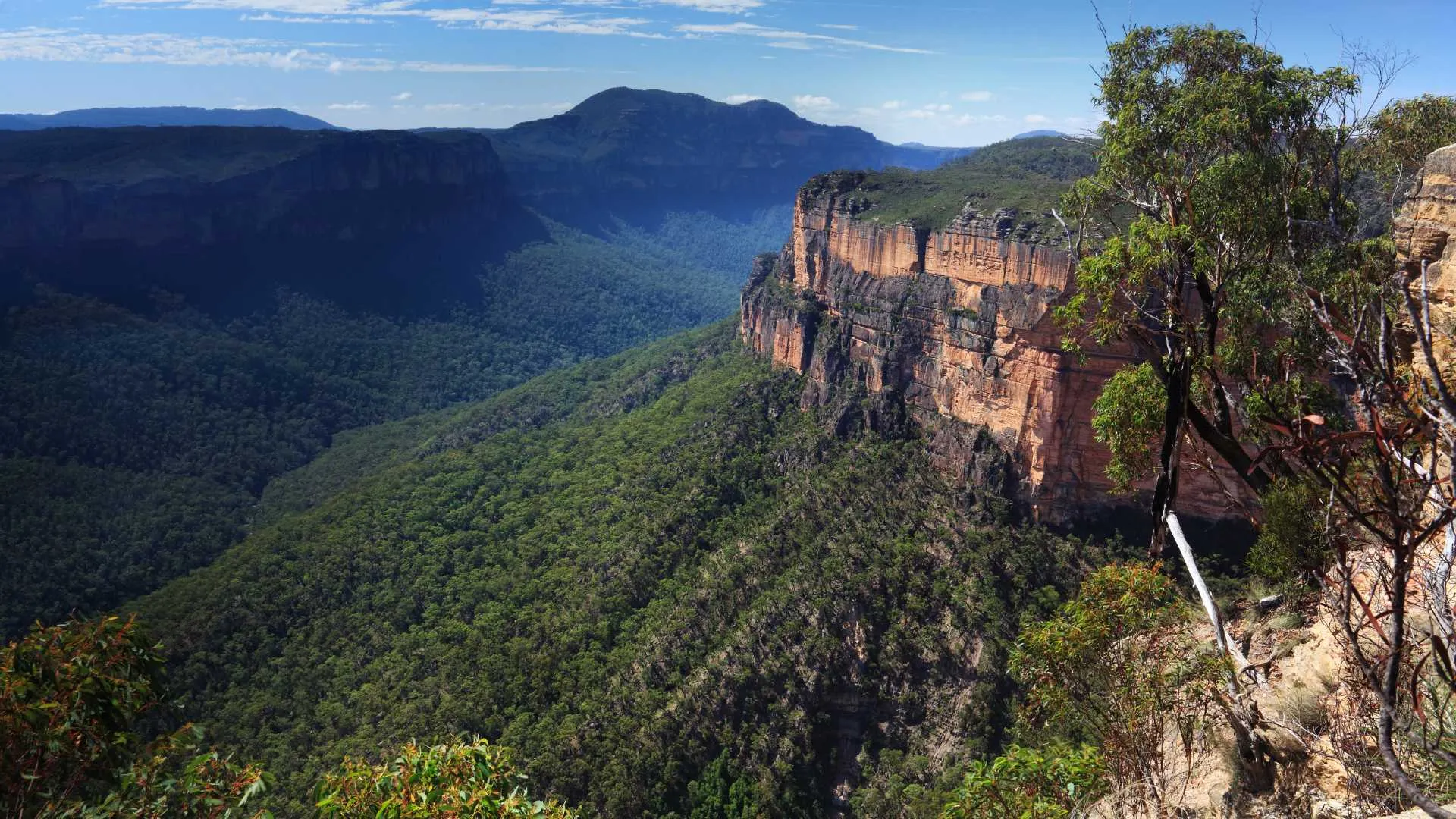Australia with New Zealand