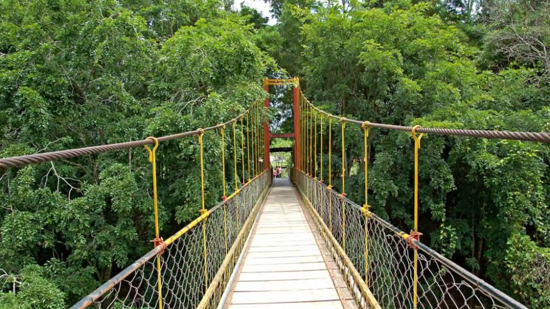 Namdroling Monastery Tamil Nadu