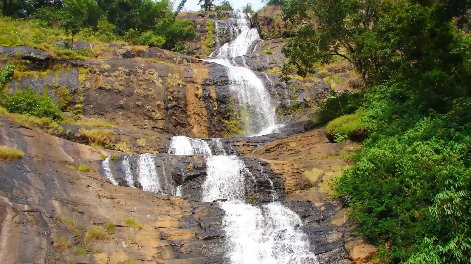 Cheeyappara Hiking Trails