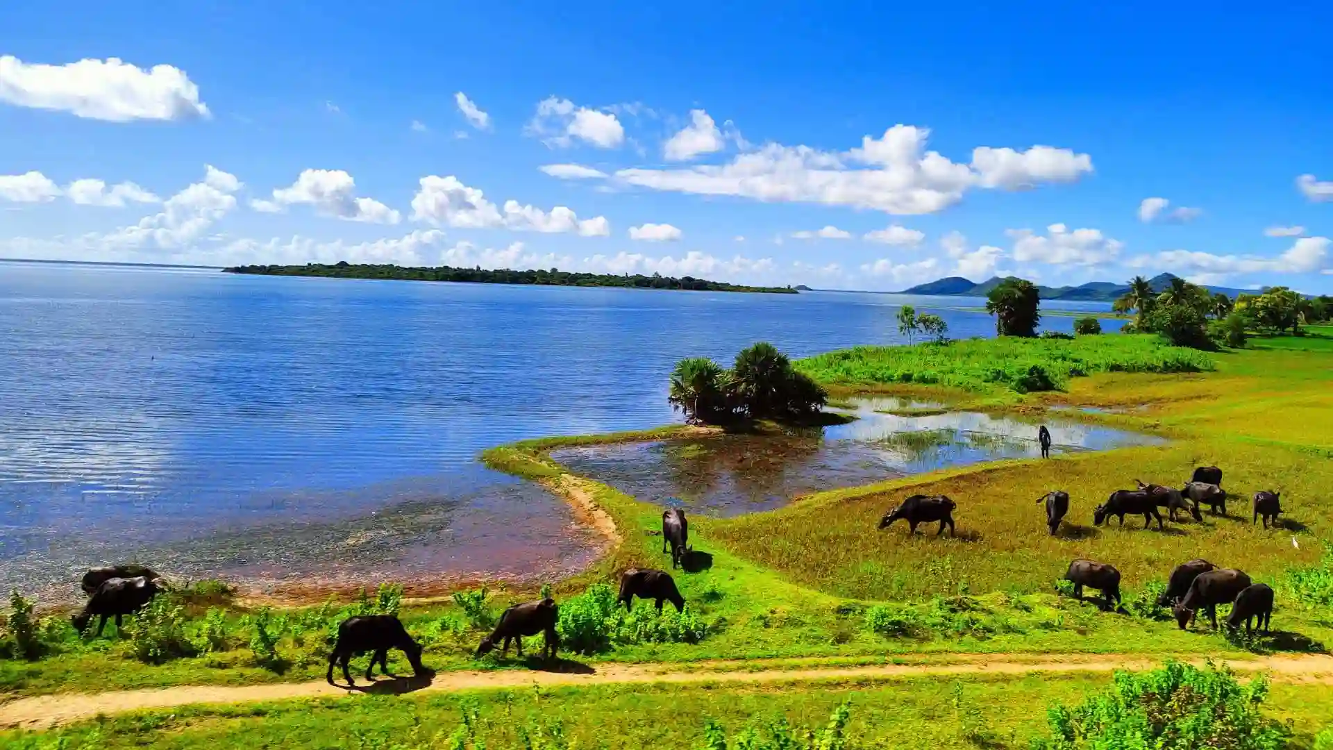 Soulful Odisha Tour for Senior Citizens