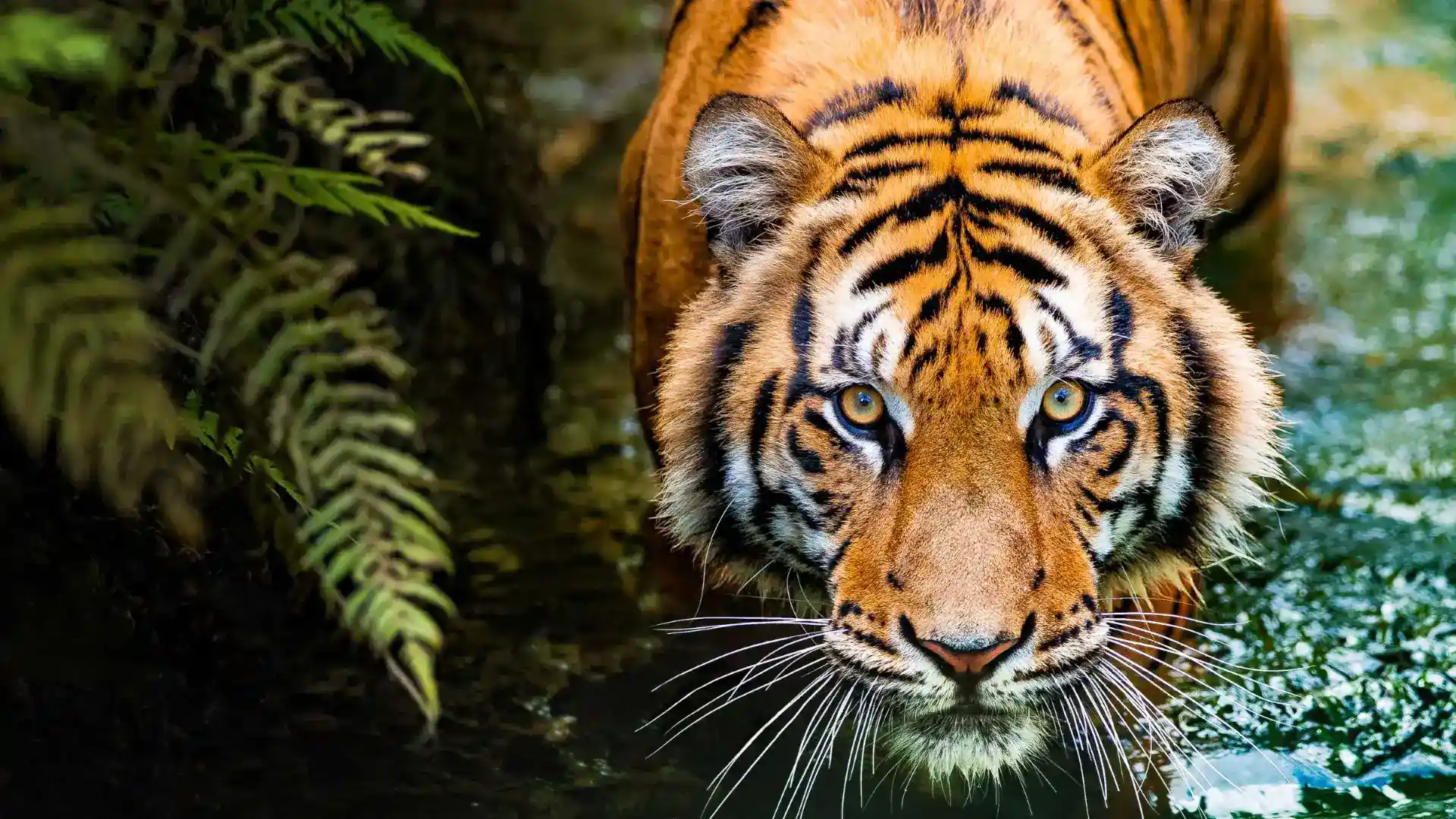 Chinnar Wildlife Sanctuary