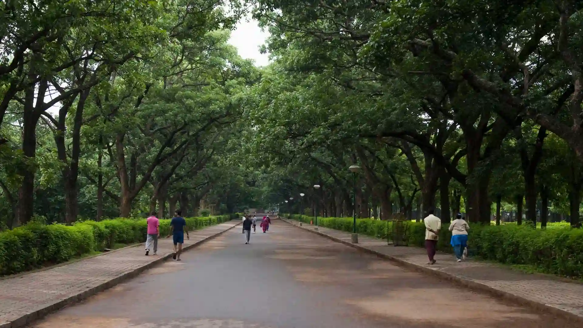 Cubbon Park