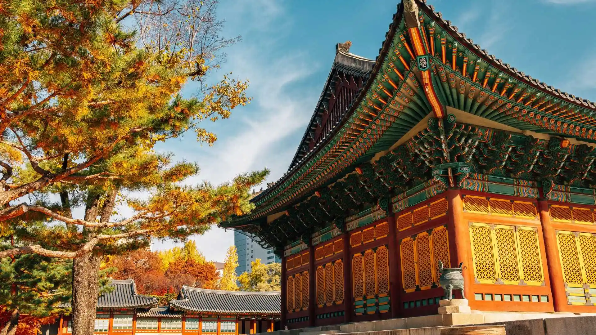 Experience the Best of South Korea Tour Package