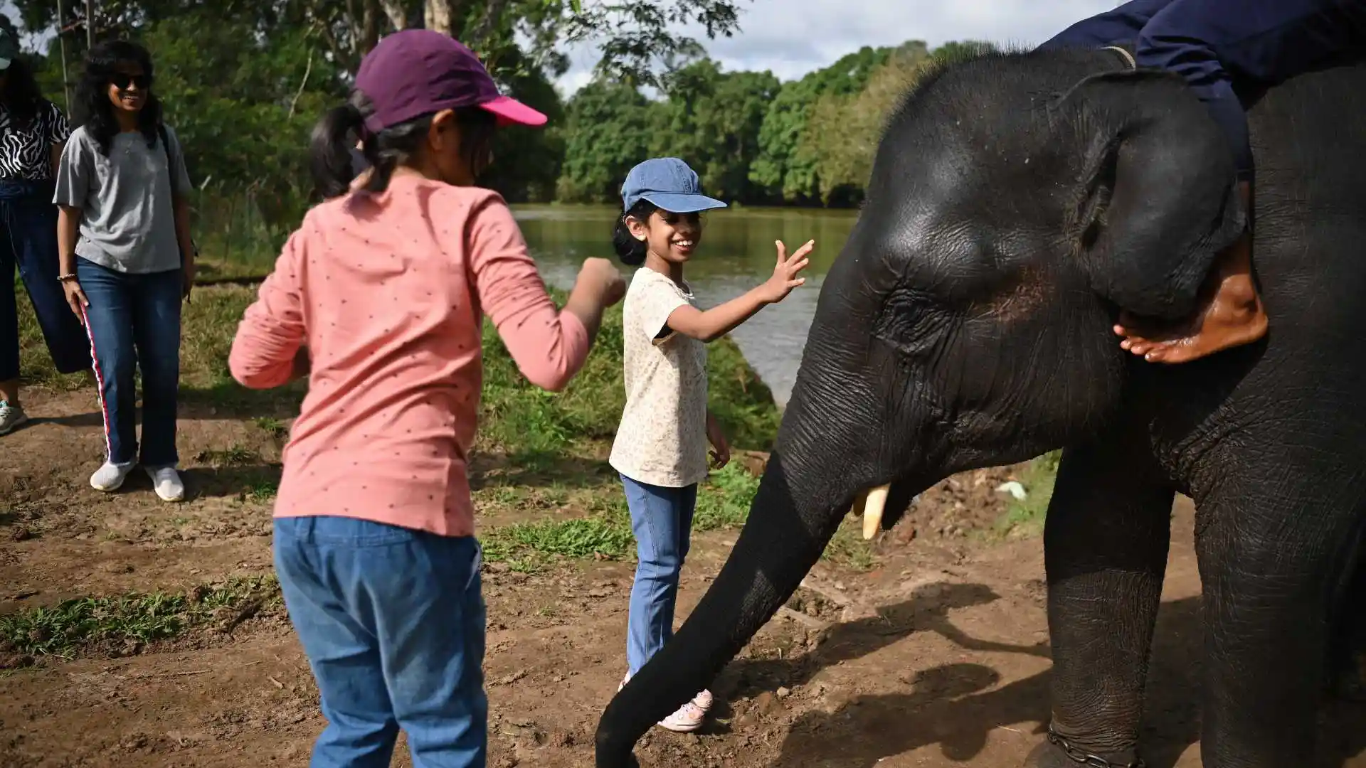 Elephant's Camp Dubara
