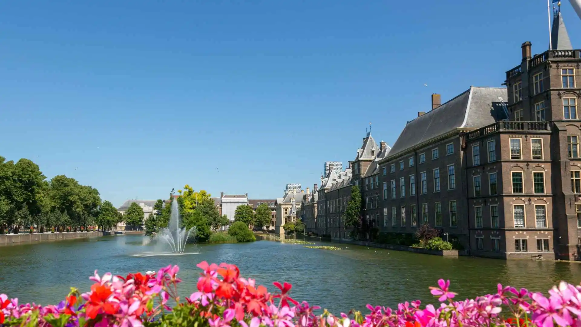 Fountain in Binnehof