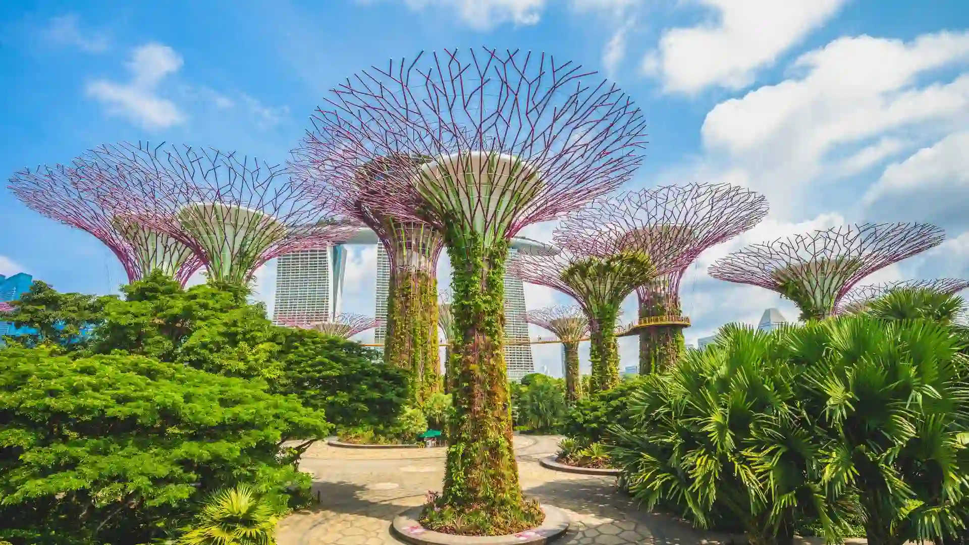 Gardens by the Bay
