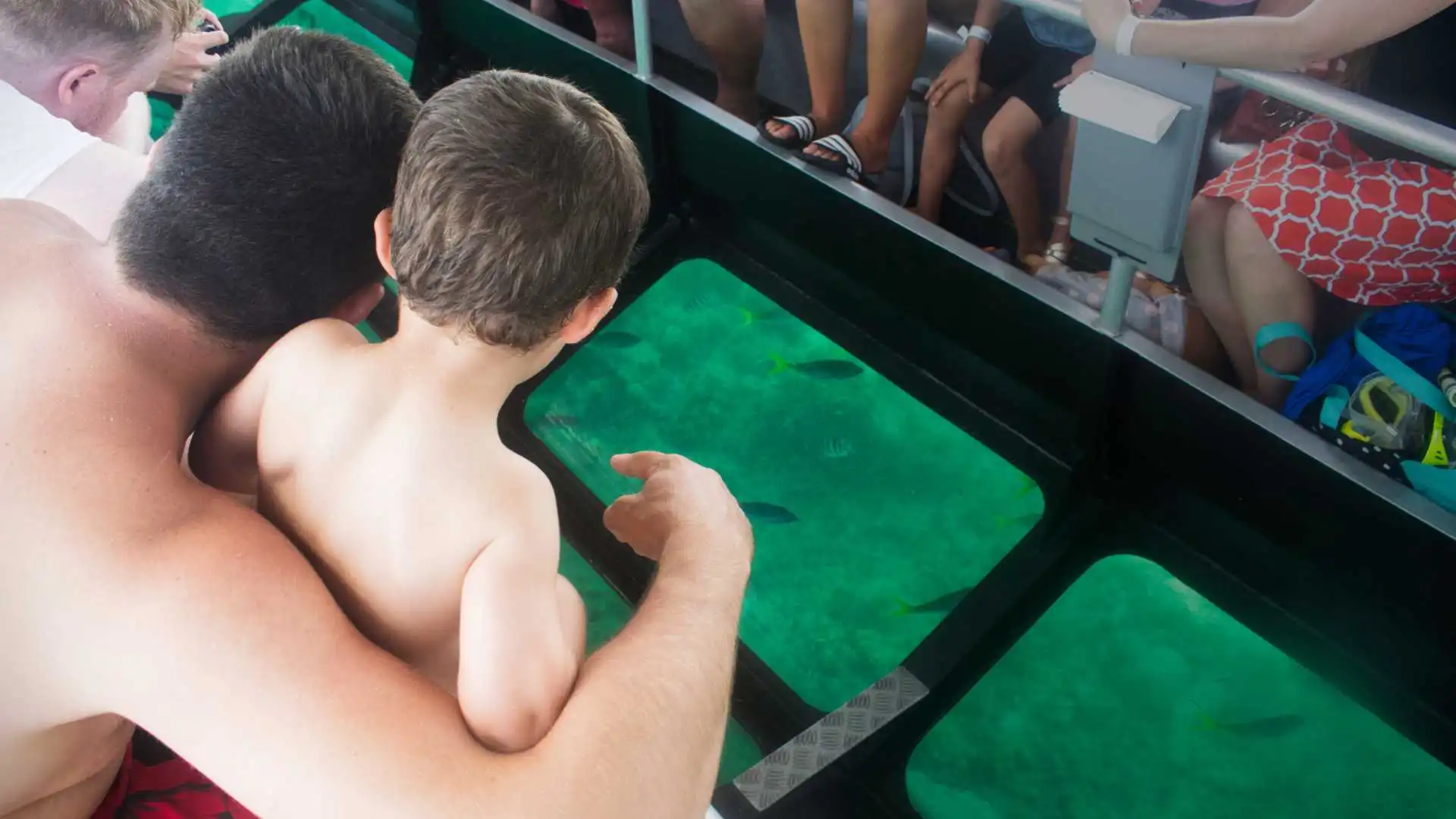 Glass Bottom Boat Ride