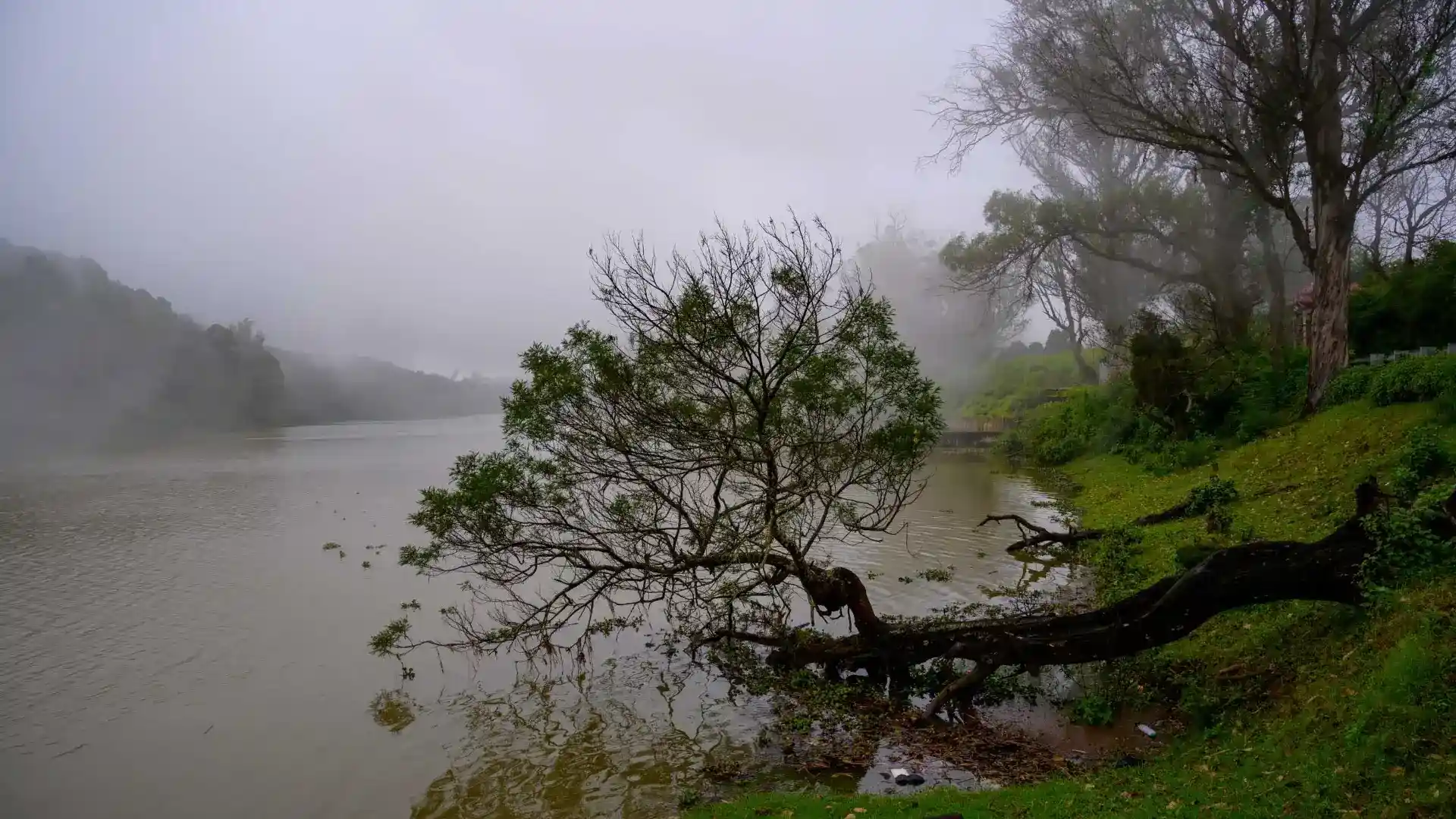 Explore Ooty and Coonoor: Nature's Splendor in the Nilgiris