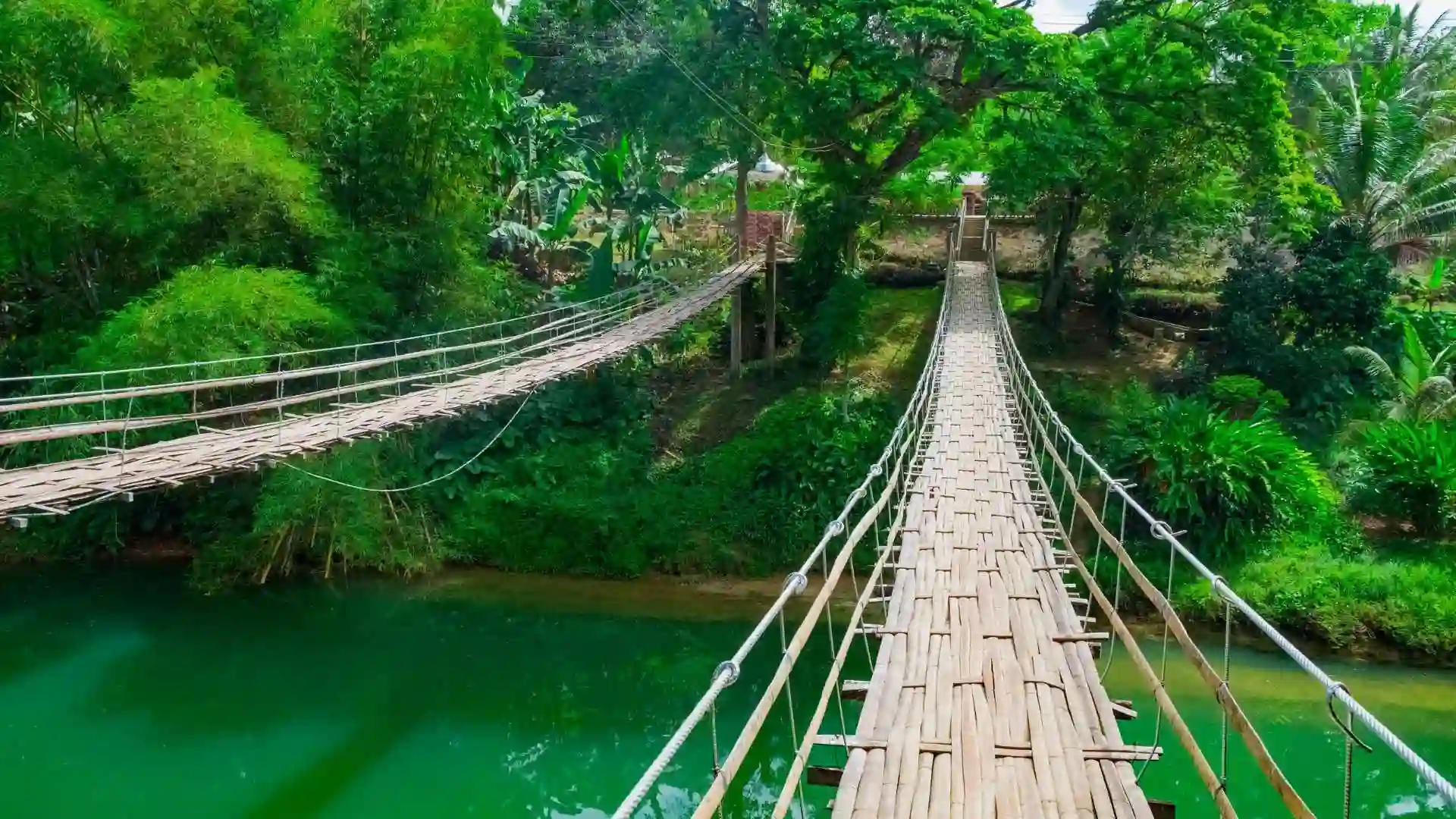 Hanging Bamboo Bridge