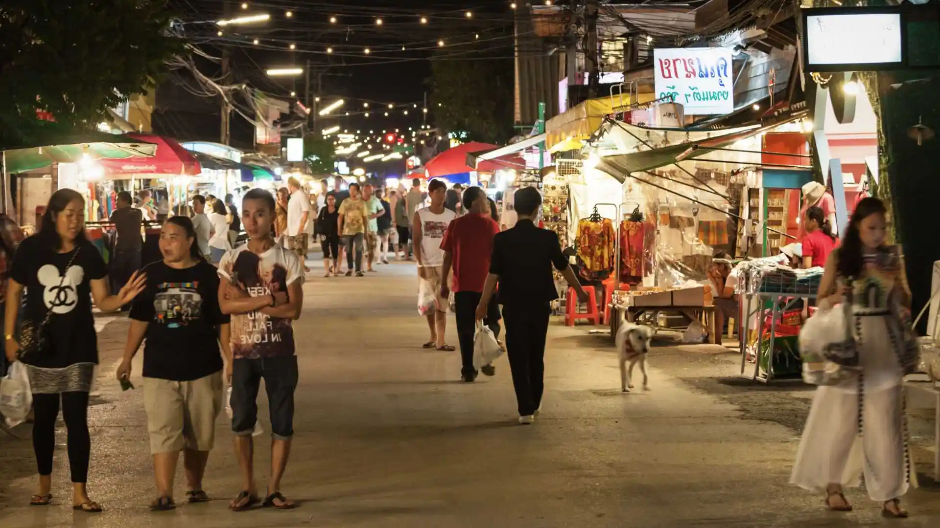 North-Eastern Ziro Music Festival Tour