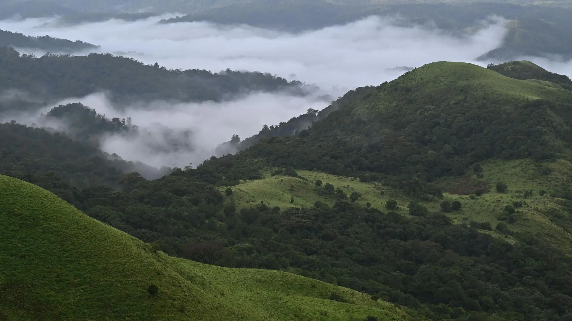 Ooty Hills