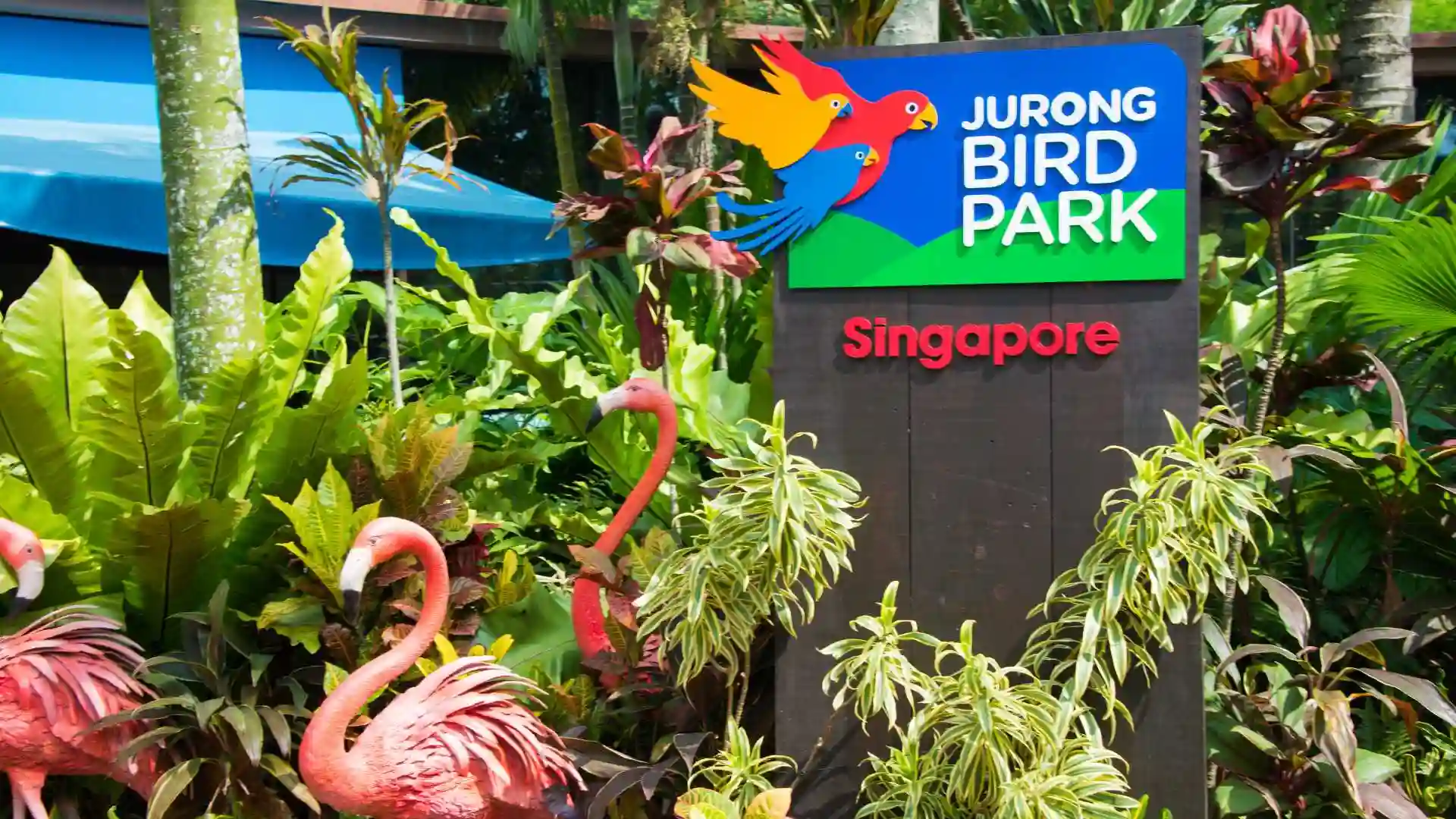 Jurong Bird Park