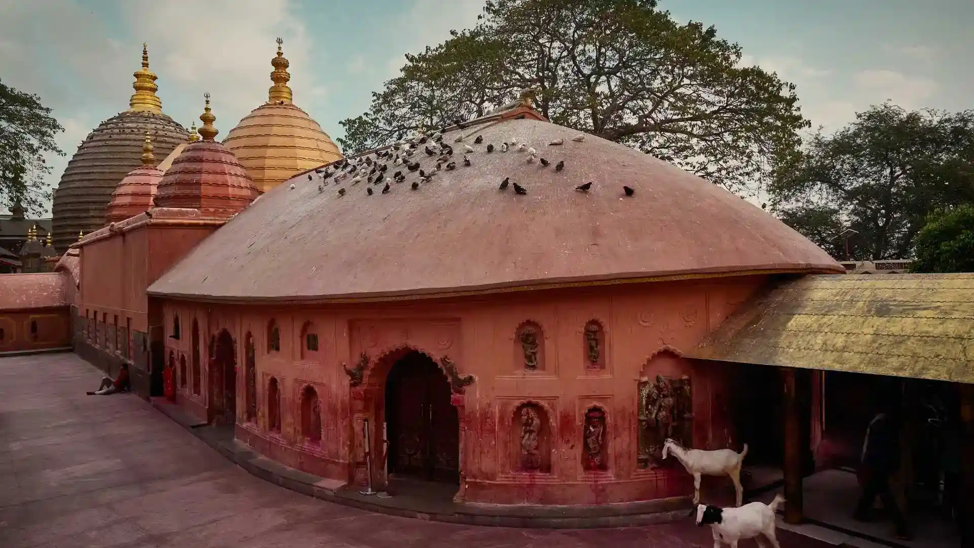 Delightful Nagaland-Meghalaya-Assam Tour