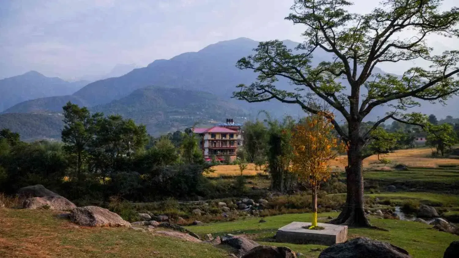 Kangra Valley Himachal Pradesh