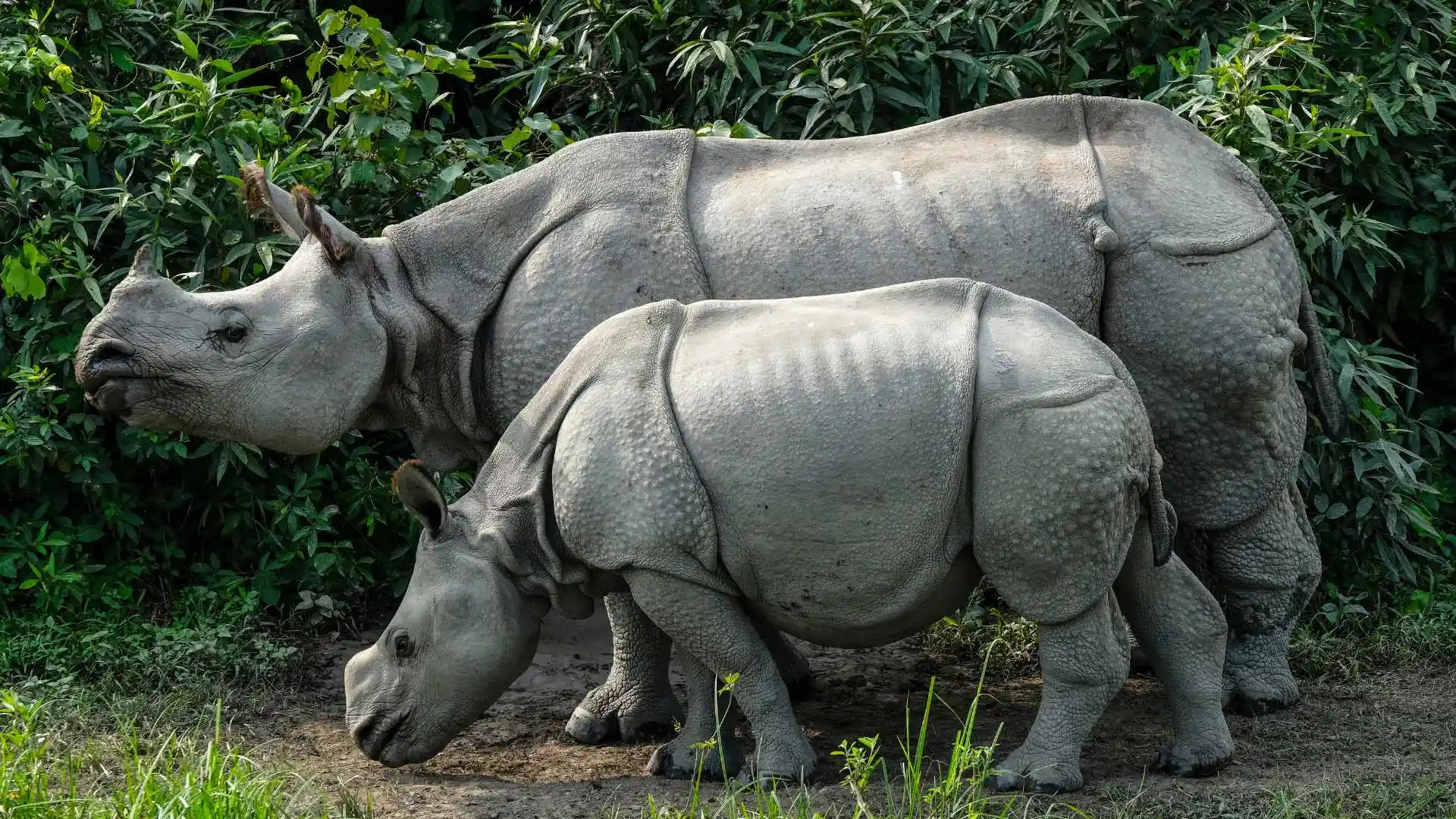 The Three Sisters Adventure Tour