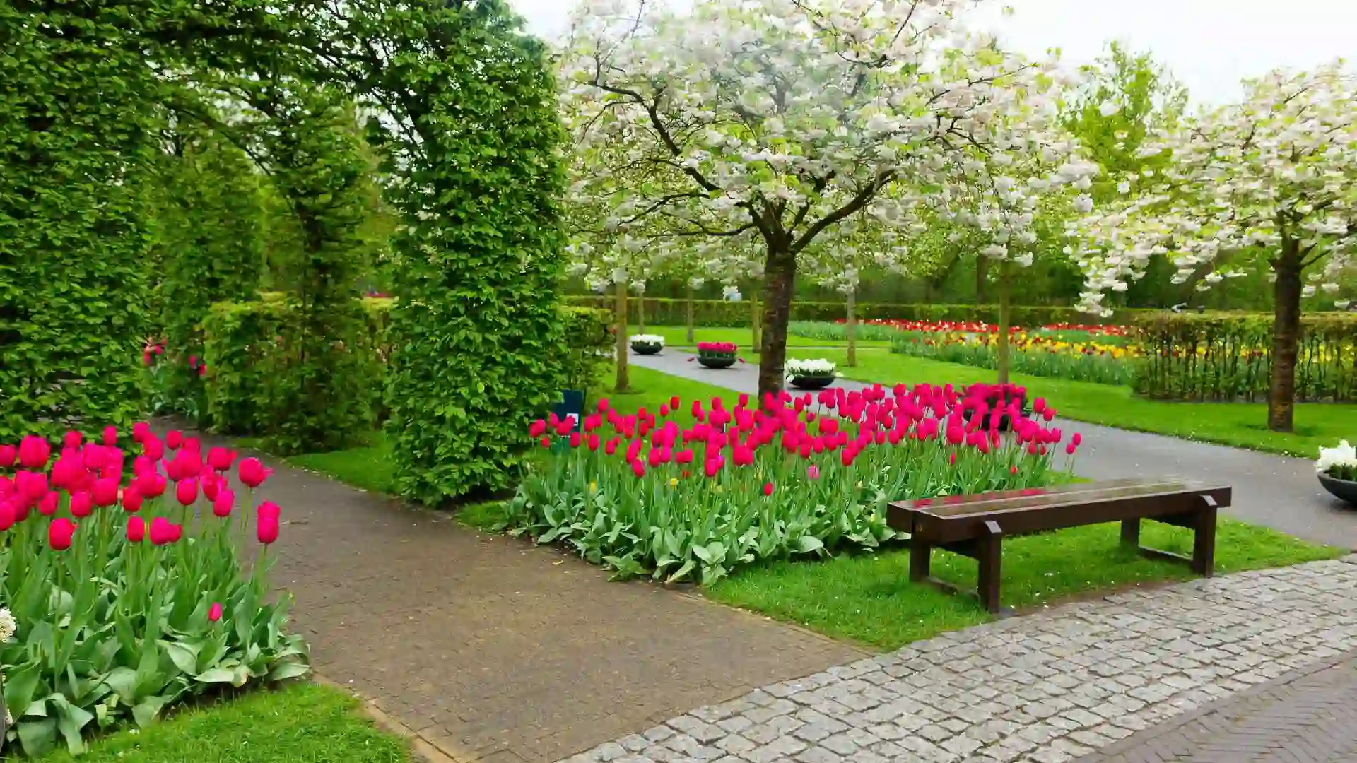 Keukenhof Garden