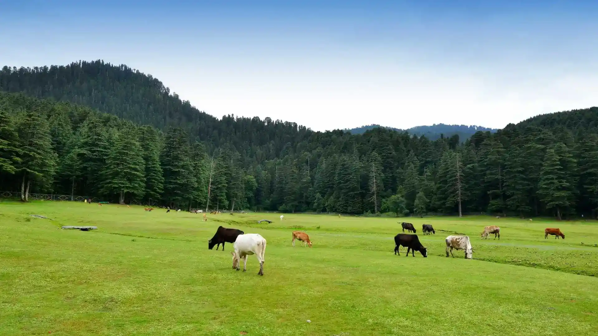 Khajjiar
