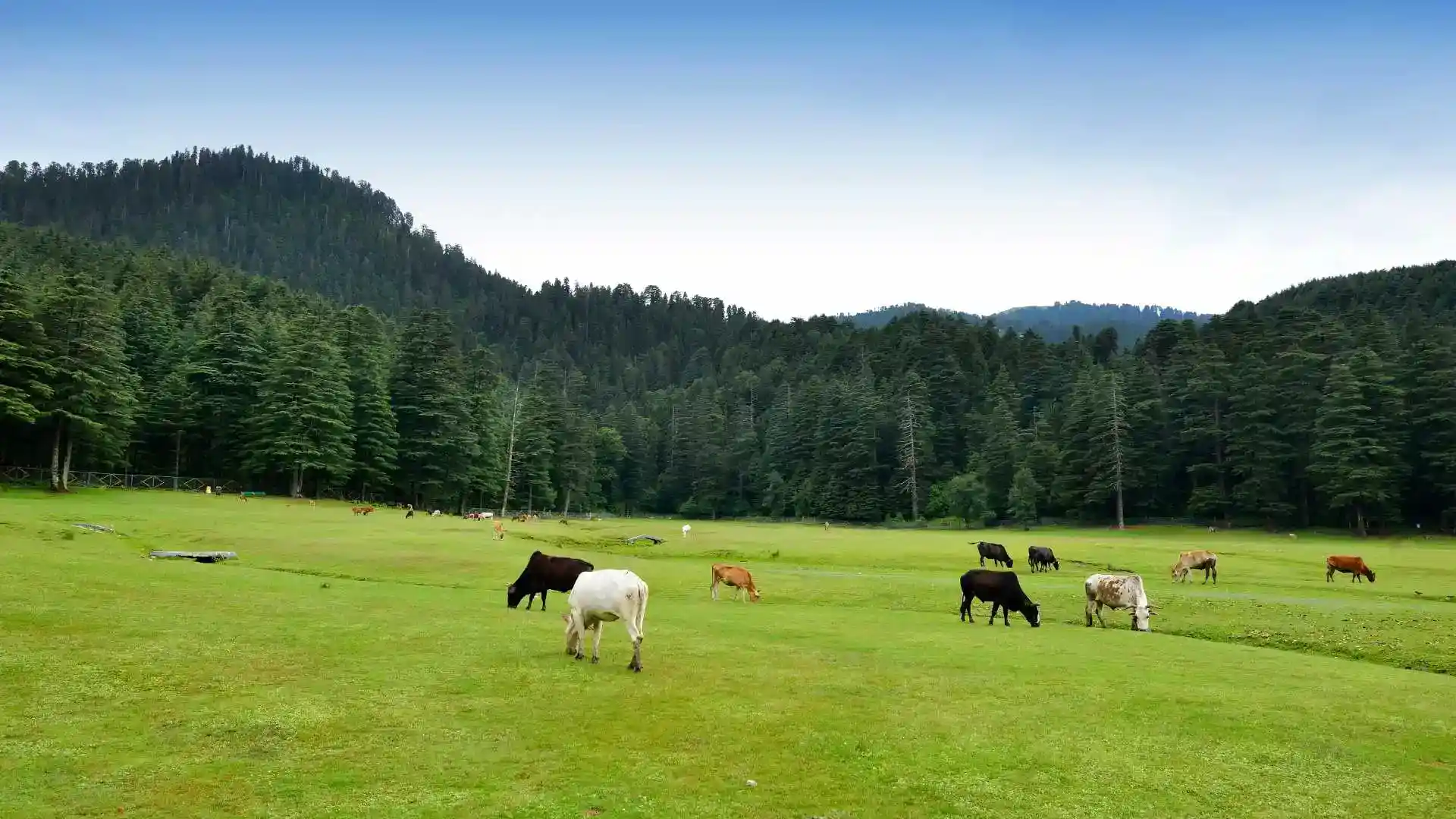 Khajjiar