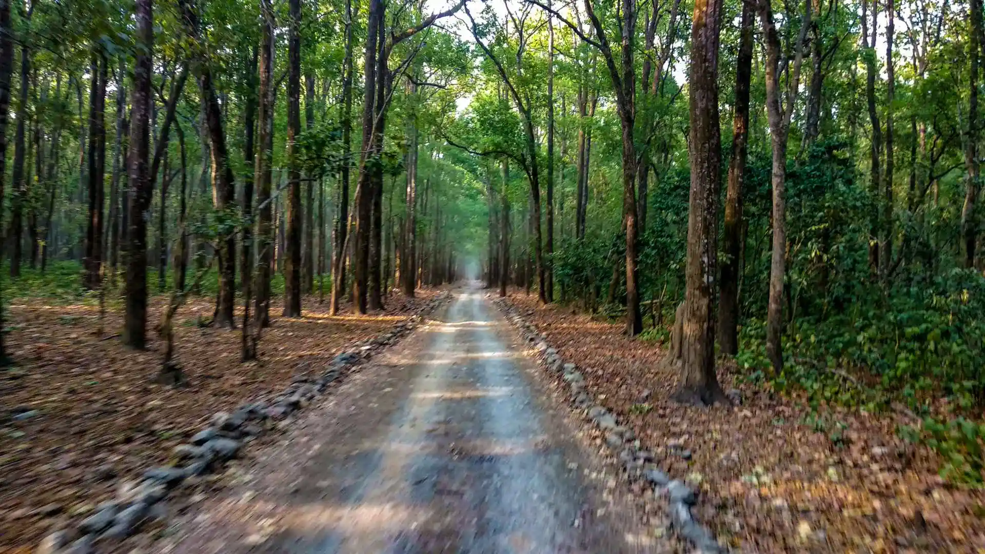 Kishanpur Wildlife Sanctuary