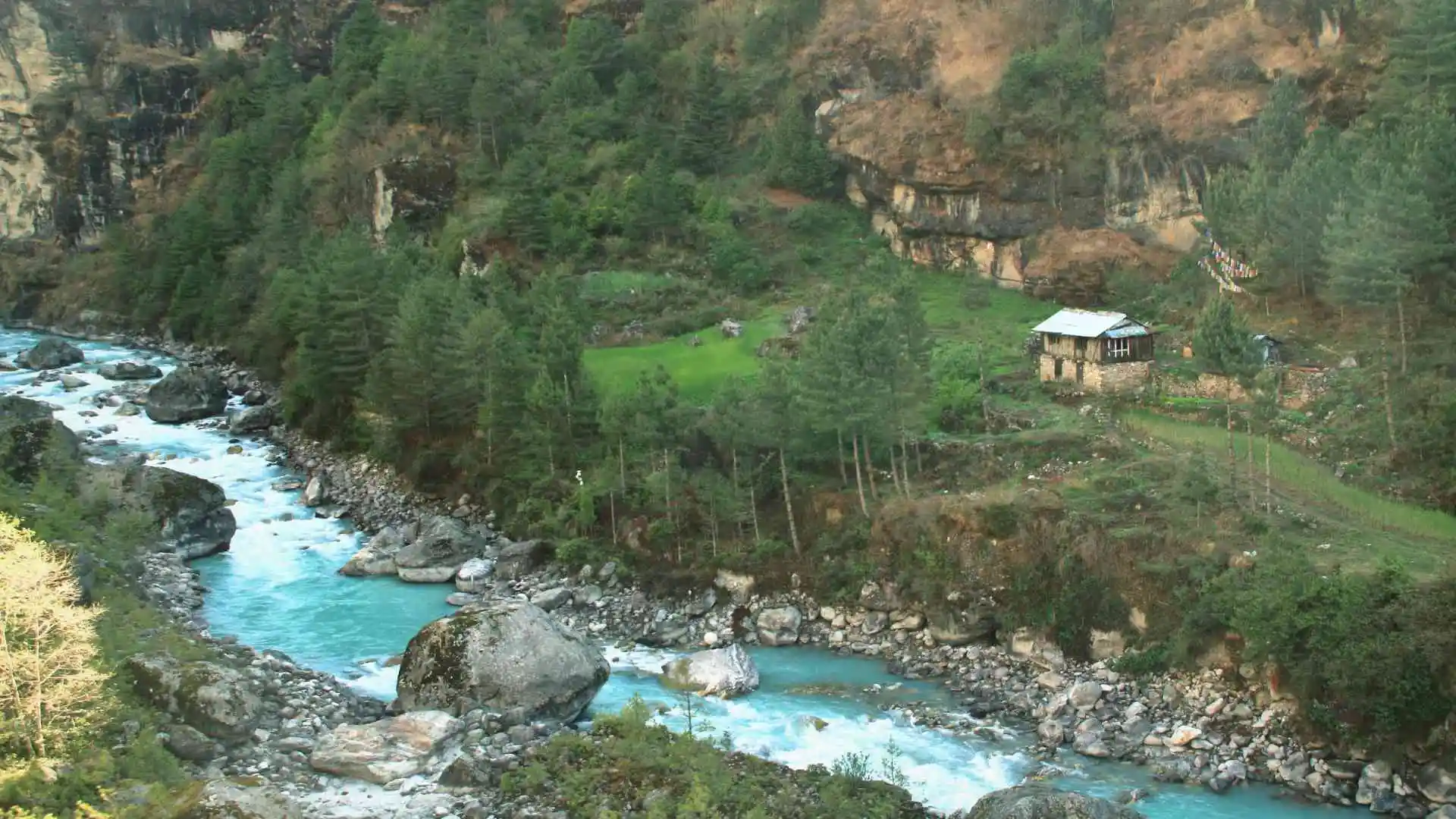 Kosi River