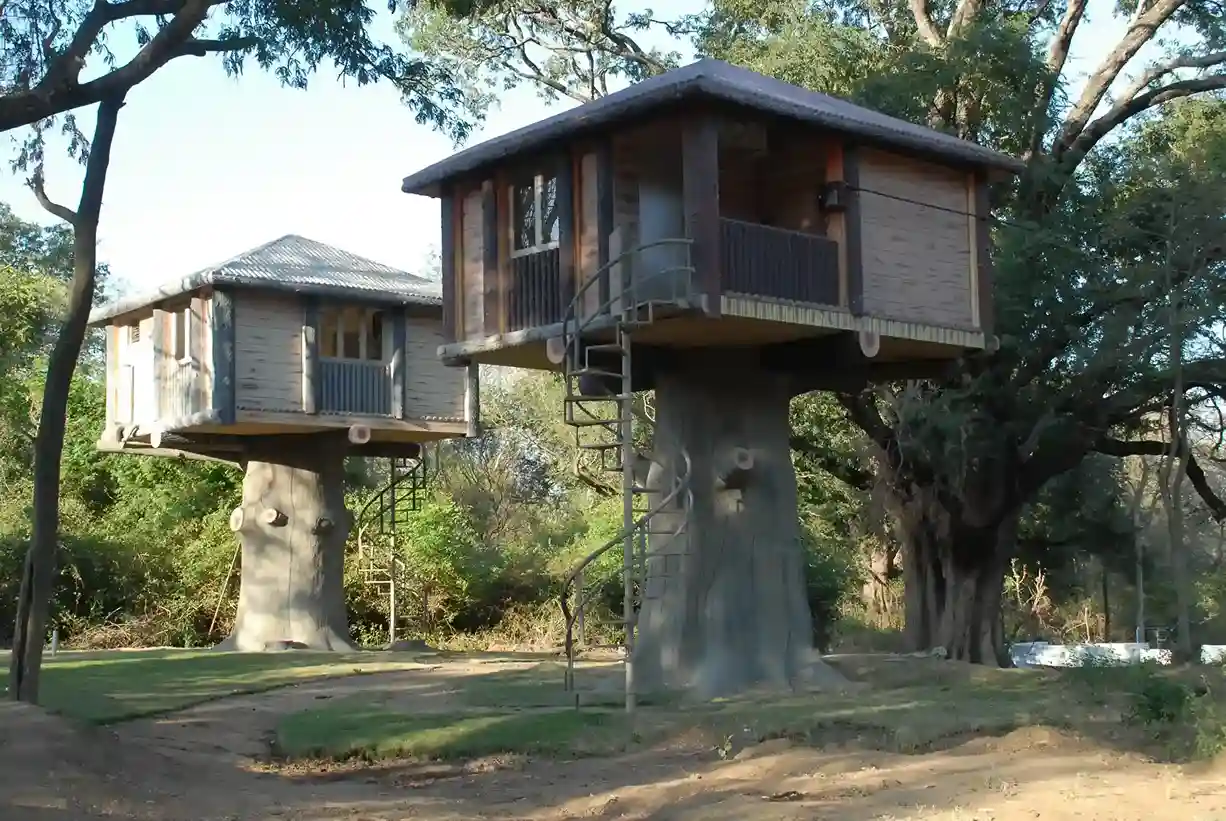 Ooty & Kodaikanal Hill Retreat with Madurai Temple