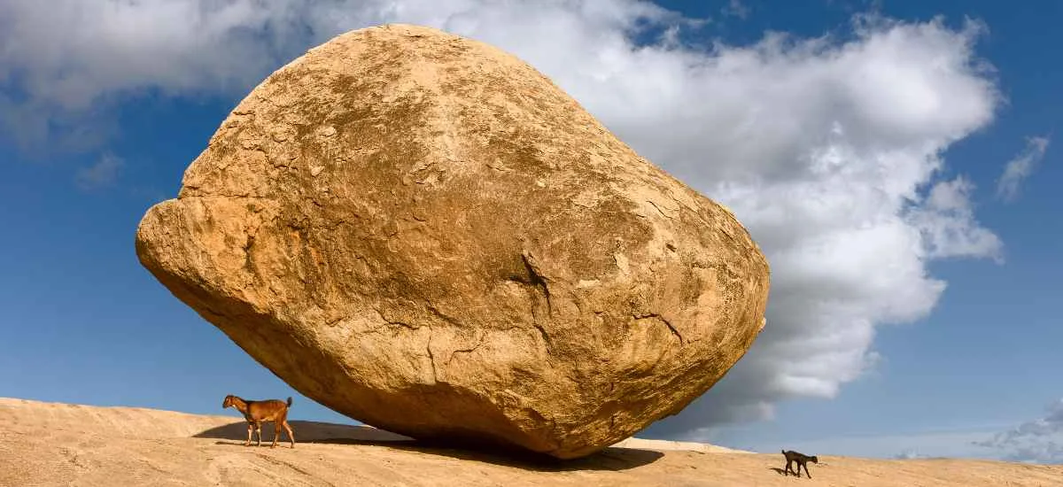 Krishna's Butterball