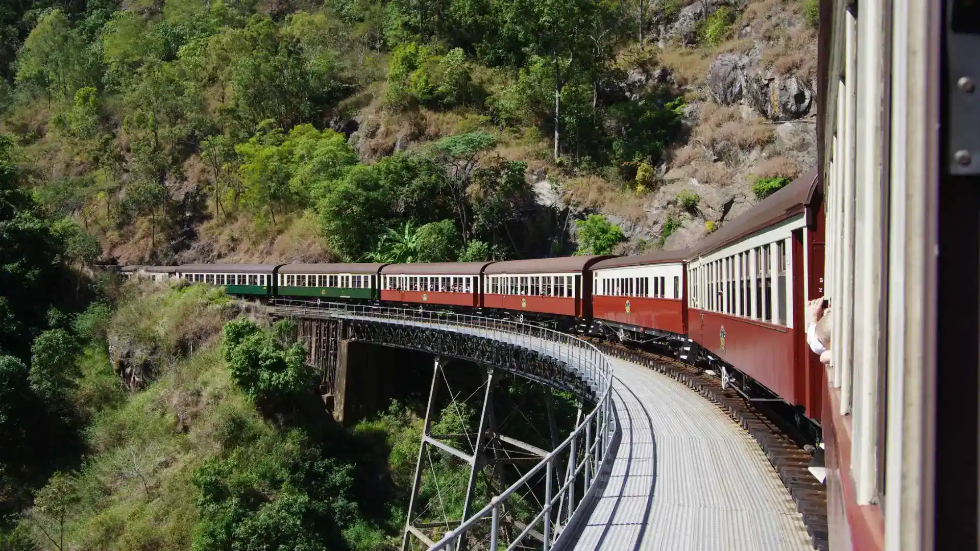 Wild Dolphin Hand Feeding program