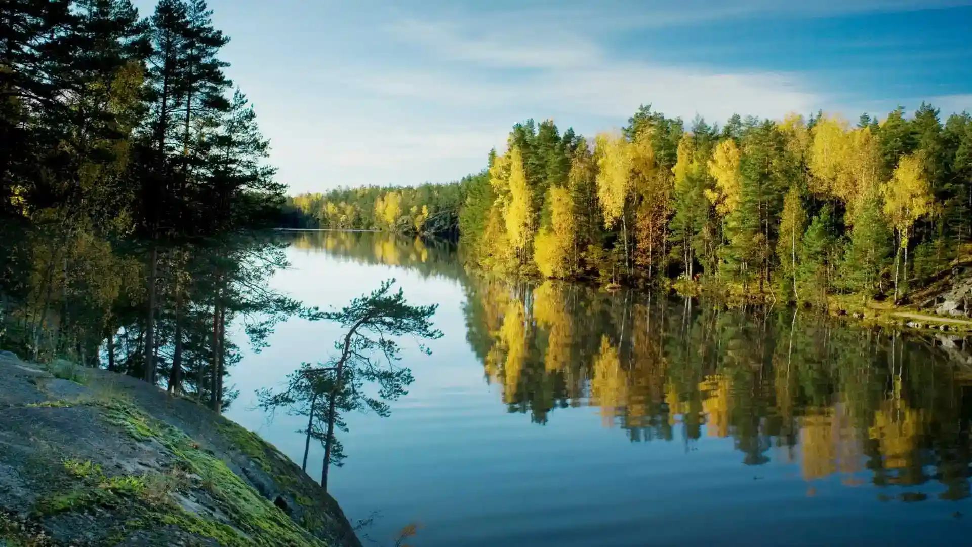 Lake Forest Finland