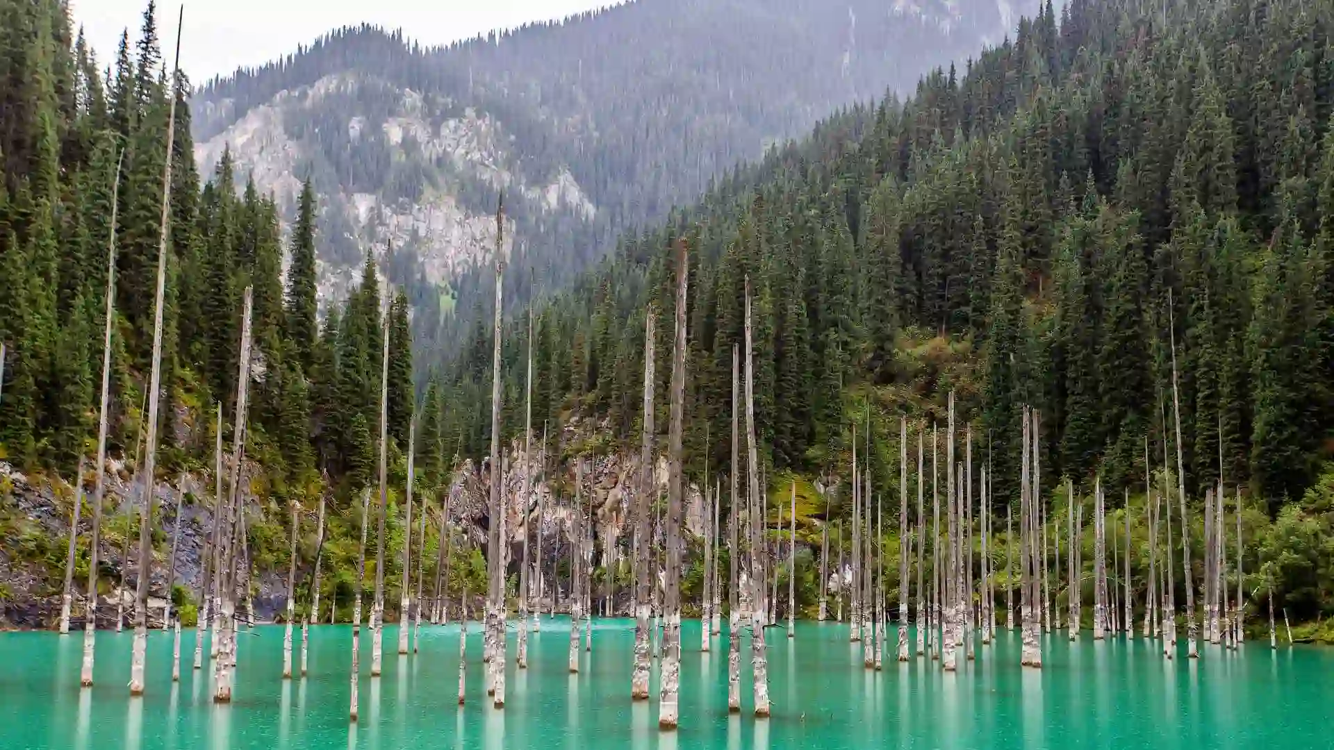 Classic Kazakhstan Heritage and Nature Tour