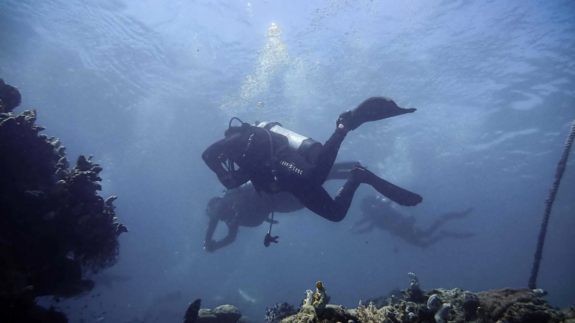 Mahe Reef Safari Seychelles