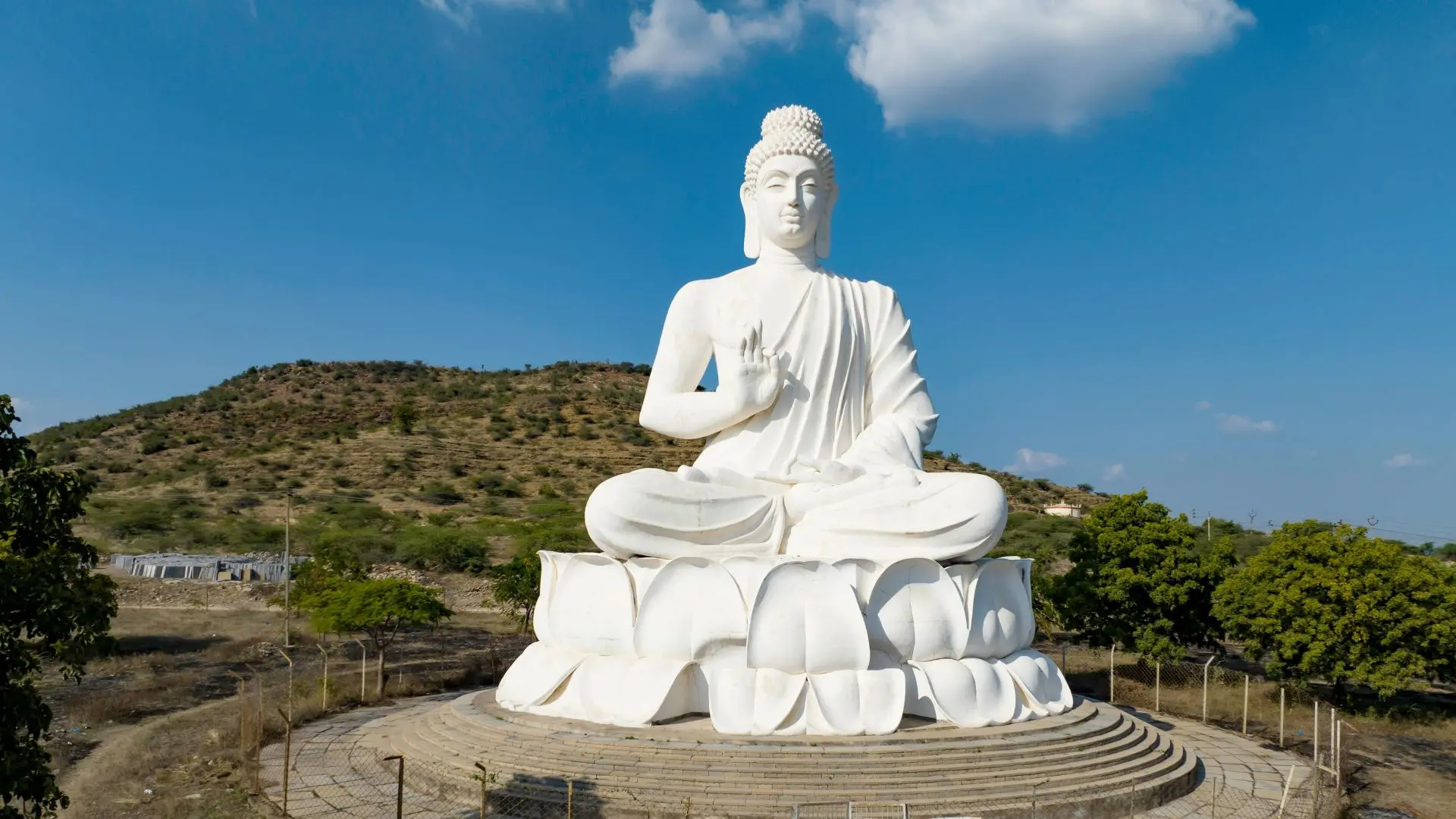Majestic Buddha