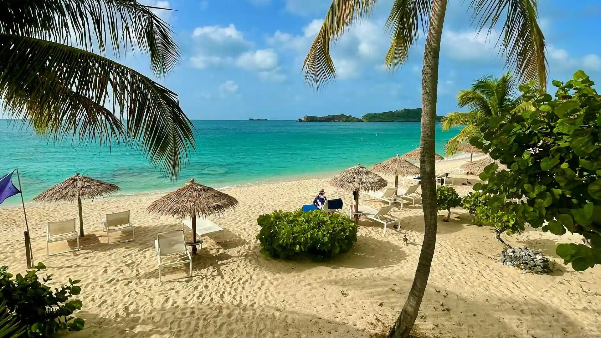 Hill with Backwater and Beach Trip