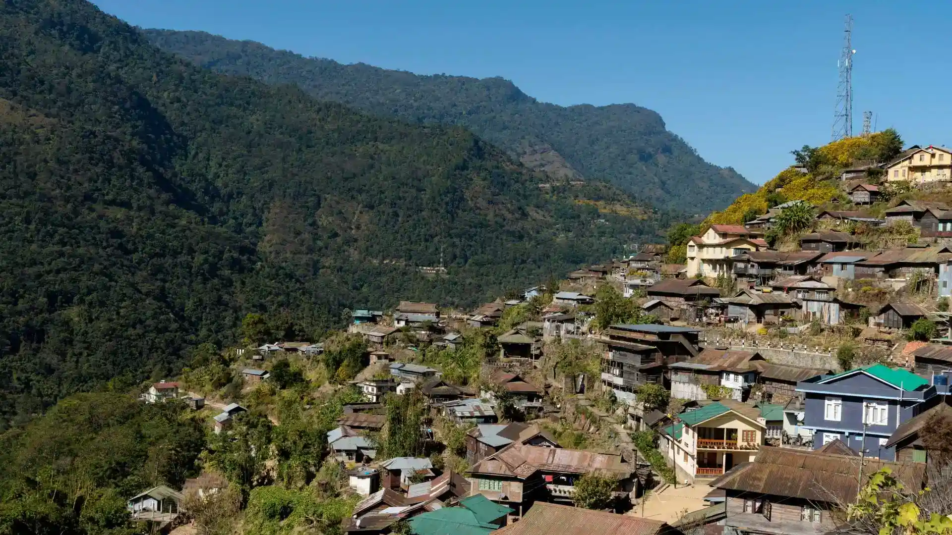 Mokokchung Ao Village