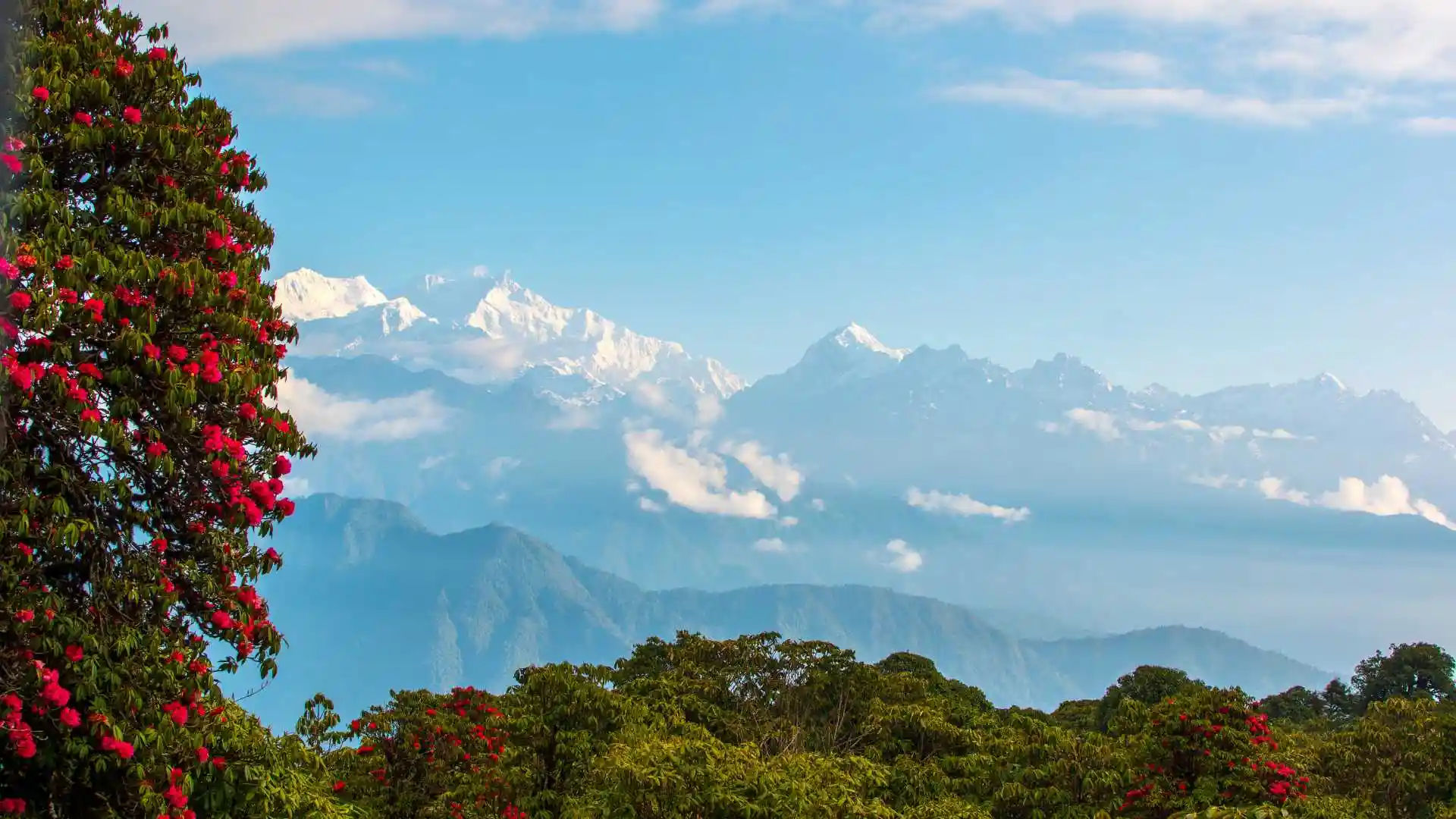Kanchenjunga