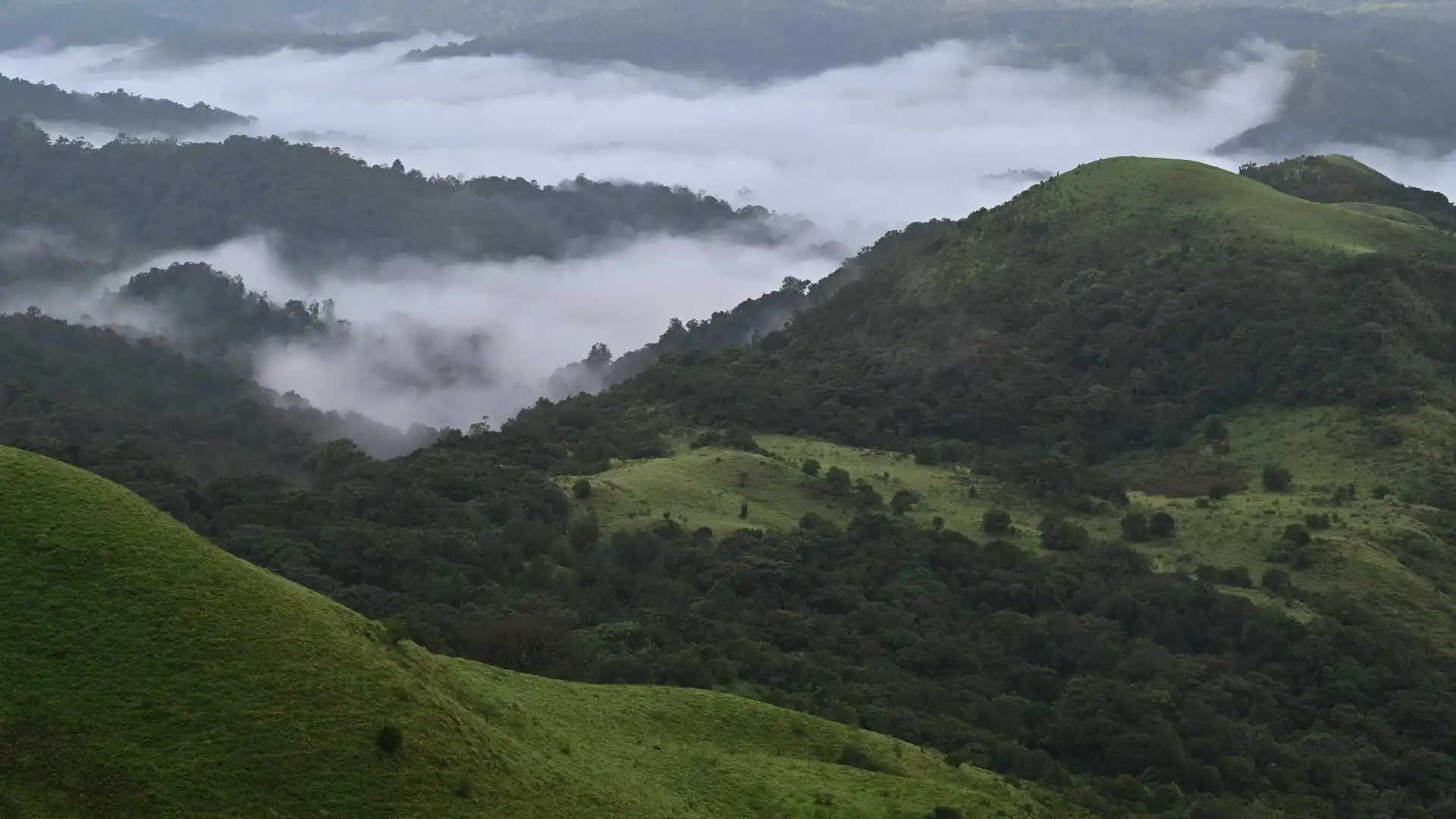 Sacred Shores & Serene Hills of South India