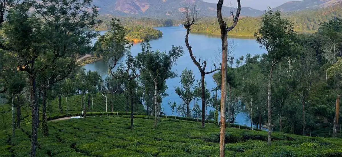 Munnar Hill